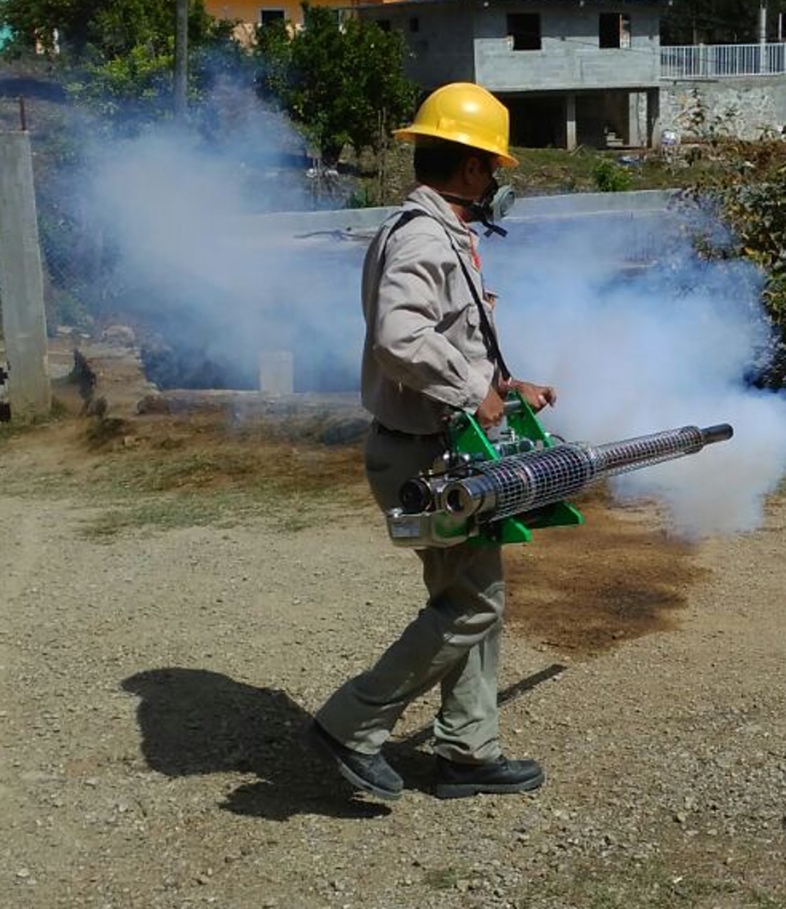 Control y prevención:  Segunda Jornada de Lucha contra el Dengue, Zika y Chikungunya