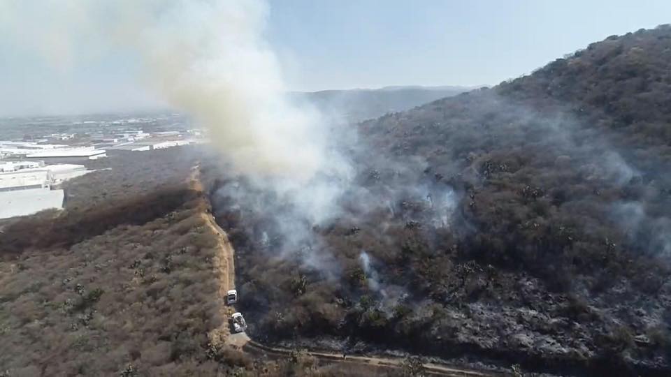 Cero heridos: Sofocan incendio forestal