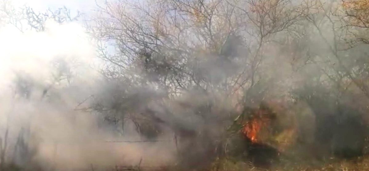 Por negligencia: Primer incendio de la temporada en Landa de Matamoros