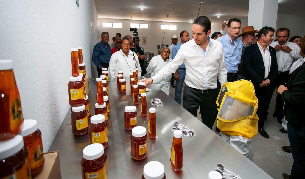 Miel: Impulsa Gobernador producción apícola en el estado