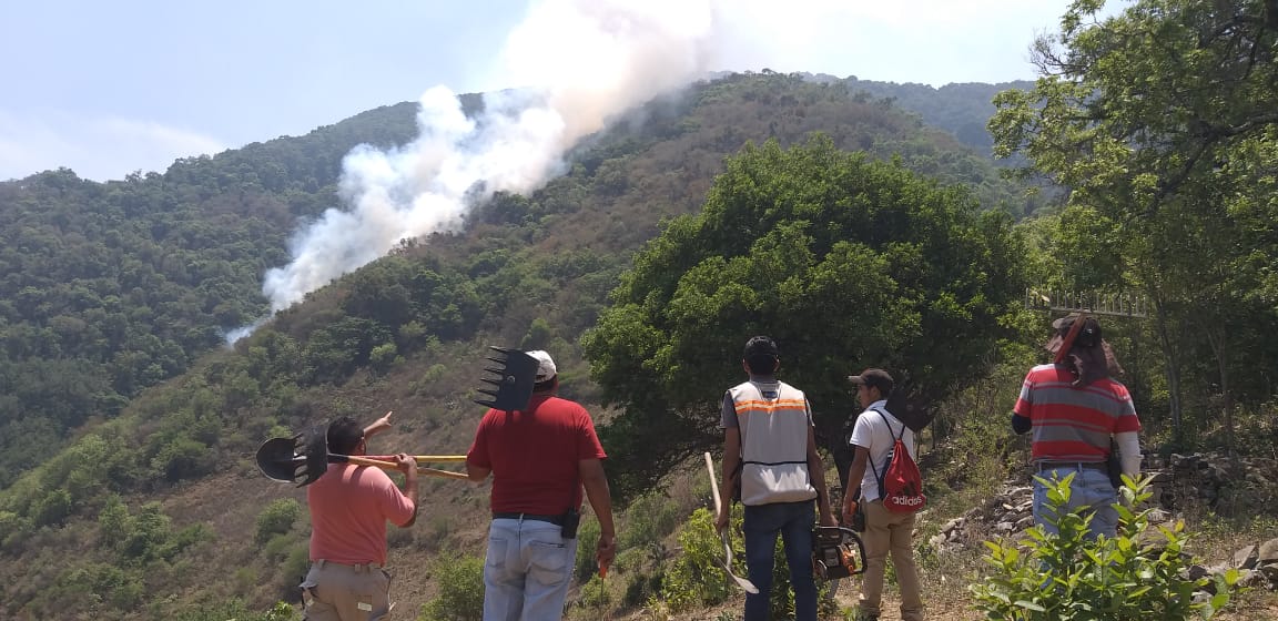 Cuerpos de emergencia: Logran sofocar incendio en Las Guayabas, Pinal de Amoles