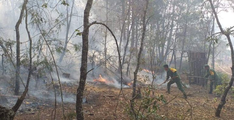 Apoya SEDENA: Sofocan incendios en Tequisquiapan y Landa de Matamoros