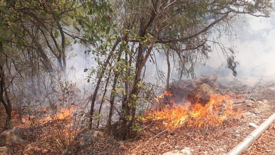 En San Juan de los Durán: Más de 100 brigadistas y voluntarios trabajan para sofocar incendio forestal
