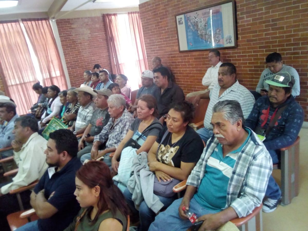 En Tolimán: Realizan 1er Foro de Producción de Aguacate para Impulsar la Producción