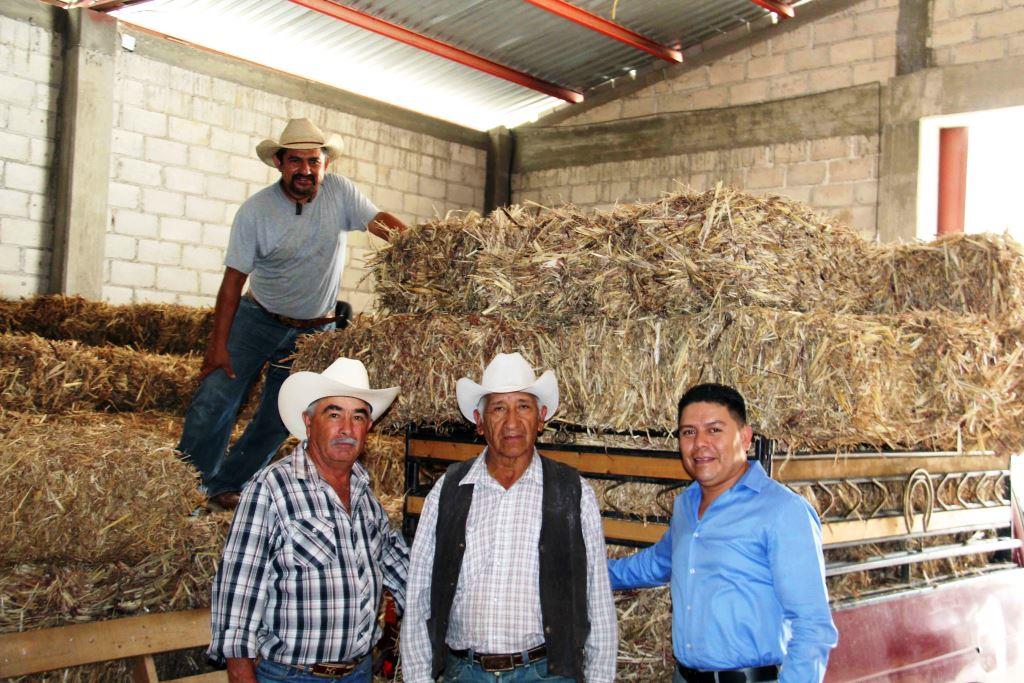 Ganaderos: Reciben  forrajes localidades de Peñamiller afectadas por sequía