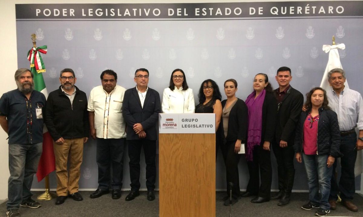 Diputada de Morena: Pretende crear un Consejo Ciudadano con voz en políticas públicas