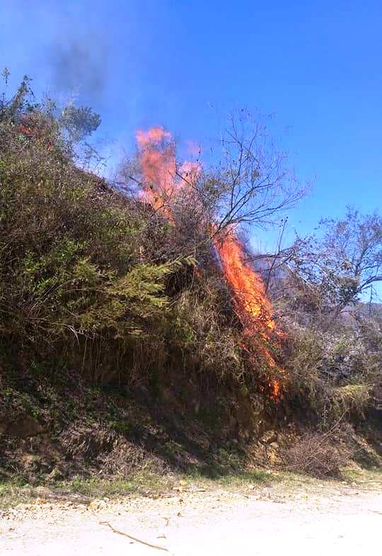 Controlan dos incendios que se registraron en Pinal de Amoles.