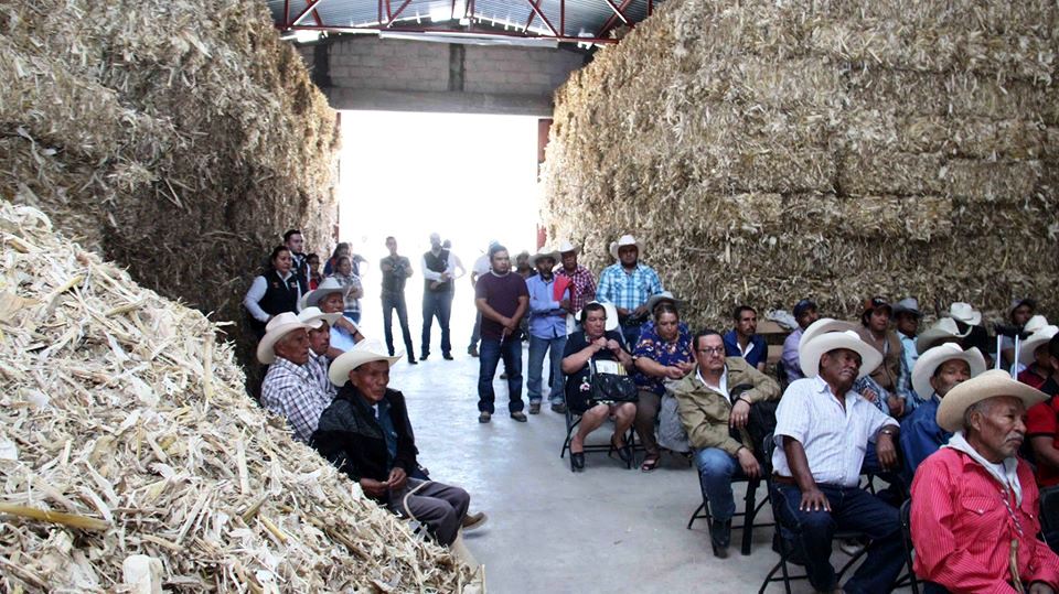 Sector agropecuario: Asamblea Anual Ordinaria de la Asociación Ganadera Local General de Peñamiller