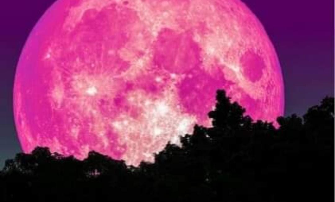 Superluna rosa: Qué es y por qué tantas culturas la consideran tan importante