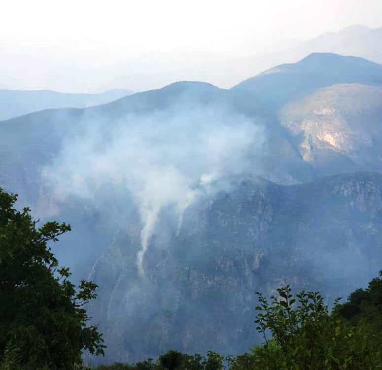 En área cerril: Atienden incendio en comunidades de San Joaquín