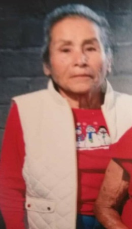 Continúan: Búsqueda de una mujer desaparecida en Arroyo Seco.