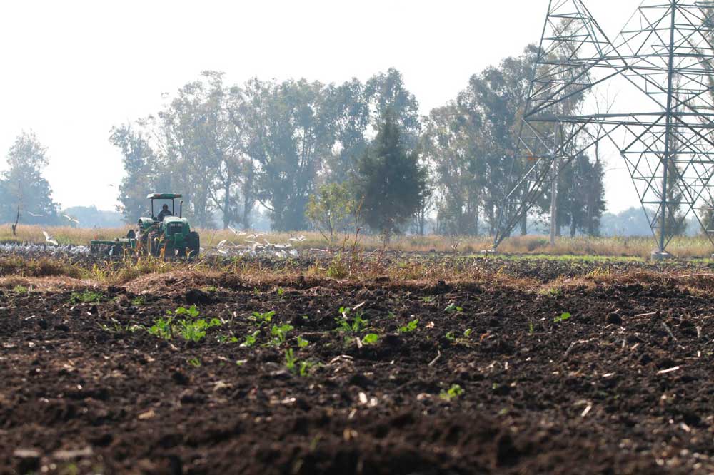 Crece: El municipio de Colón pese a la pandemia.