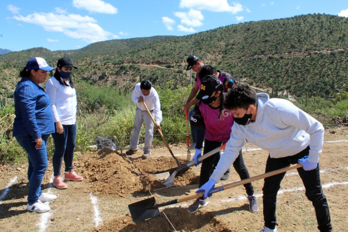 Participa: Diputada Local por el XIV Distrito en arranque de Huerto Sustentable en El Chilar, Tolimán.