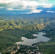 Reserva: De la Sierra Gorda actúa como defensa ante el cambio climático e integra 191 especies de aves acuáticas y terrestres.