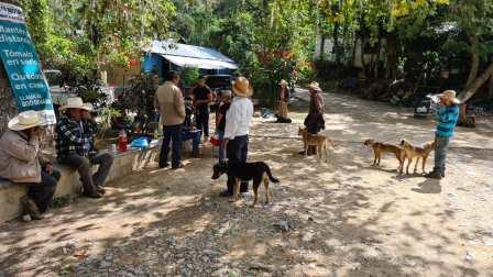 Se continuó: Con la campaña de vacunación antirrábica canina y felina en Arroyo Seco.