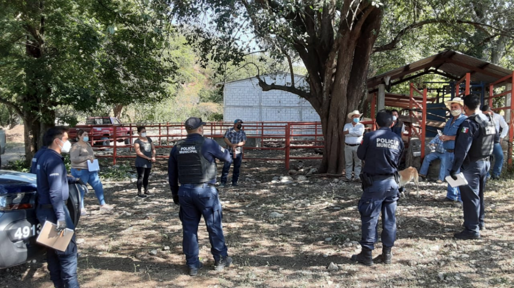 Denuncian robo: Ganaderos del municipio de Jalpan y reclaman vigilancia policiaca en la zona del poblado El Saucillo.