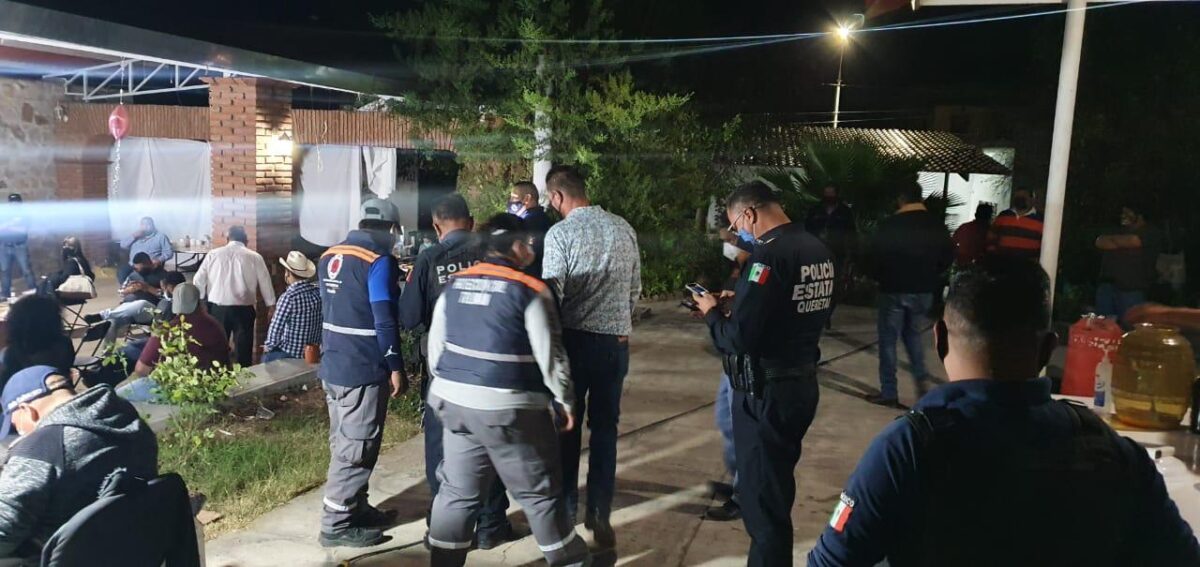 Suspende: Una pelea clandestina de gallos el personal de la Célula Covid en Tolimán.