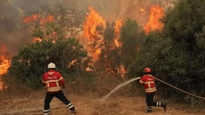 Incendios forestales: Sierra Gorda y Amealco son puntos de riesgo para incendios forestales en esta temporada de calor.