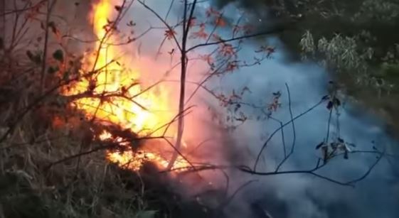 Uno más: En días pasados se registró un incendio en el municipio de San Joaquín.