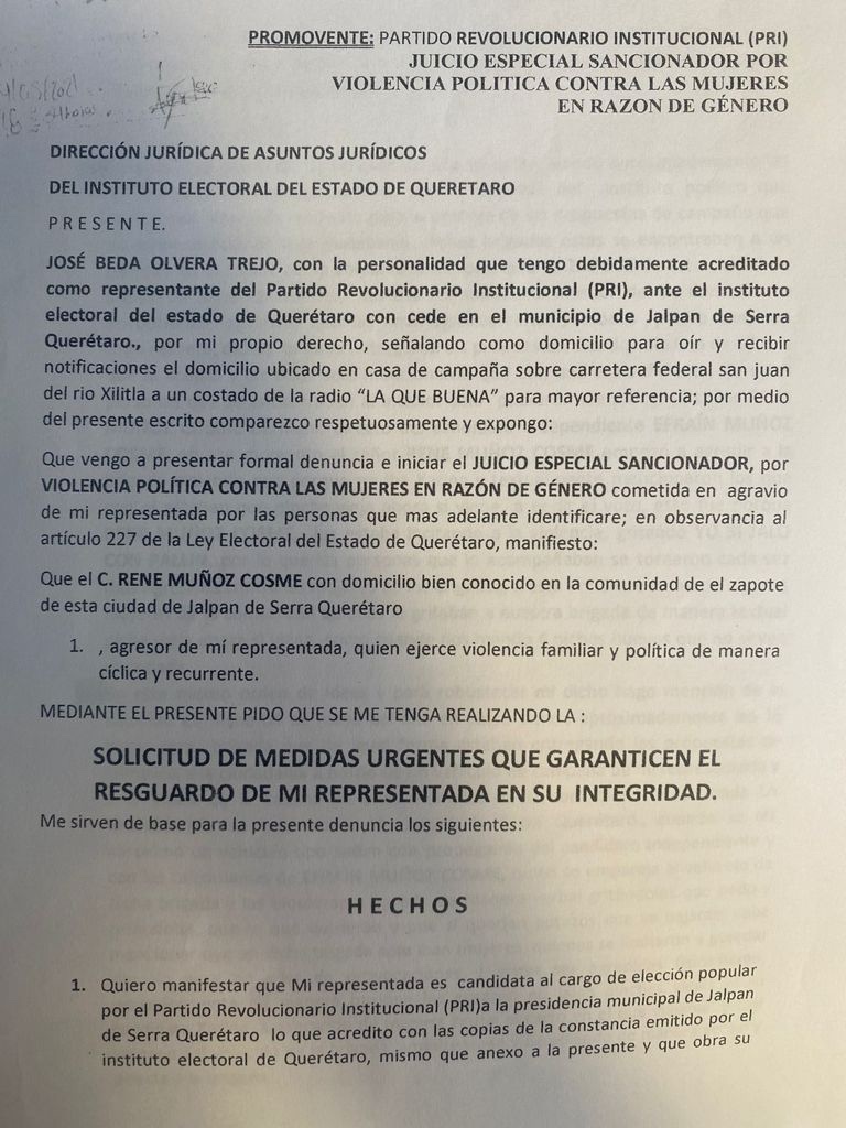 Denuncia Karina Careaga ser Victima de violencia Política.