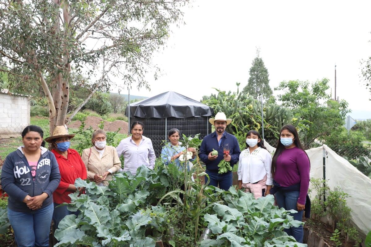 Supervisan huertos sustentables en El Mezote, Colón.
