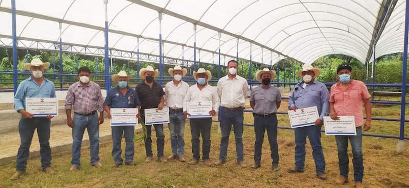 Unión Ganadera: Entrega 7 sementales a ganaderos de Zona Serrana y Semidesierto.