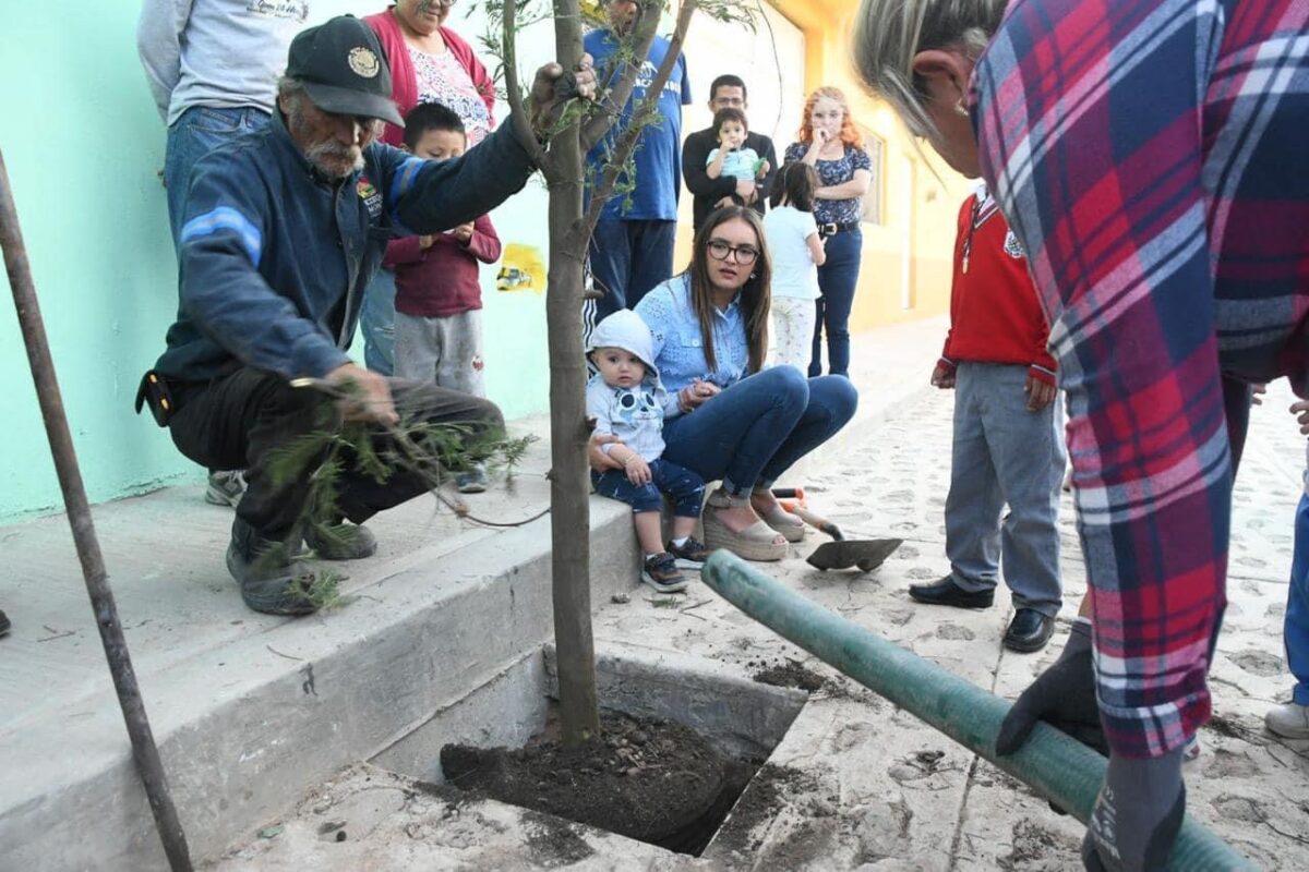 Encabeza Reforestación Lupita Pérez en Barrio La Laguna