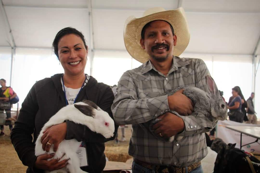 En la Feria de Querétaro habrá Exposición de razas y concurso de canales nuevas actividades de los Cunicultores
