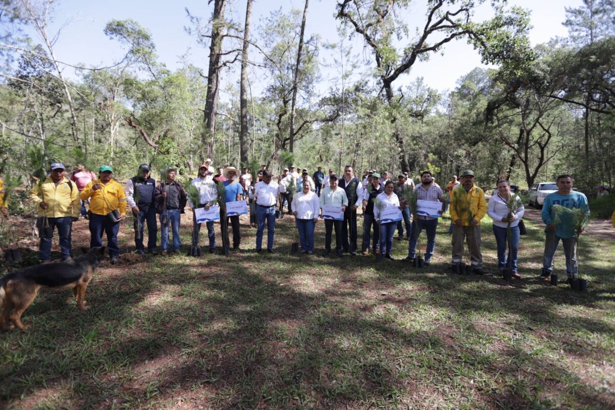Implementa SEDEA programa de reforestación en el Madroño