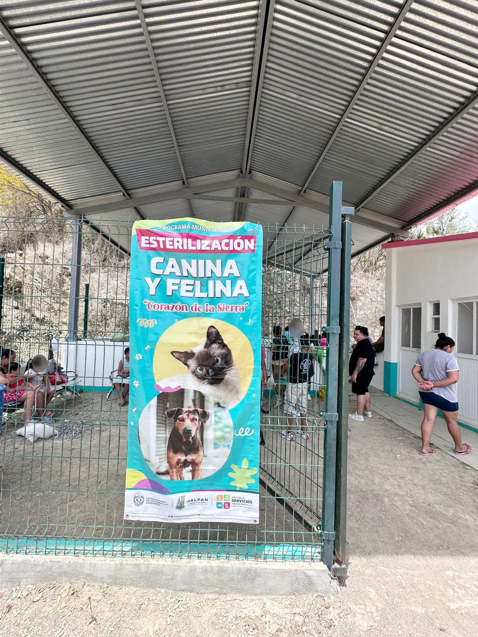 Familias de distintas comunidades se benefician con campañas de esterilización a bajo costo