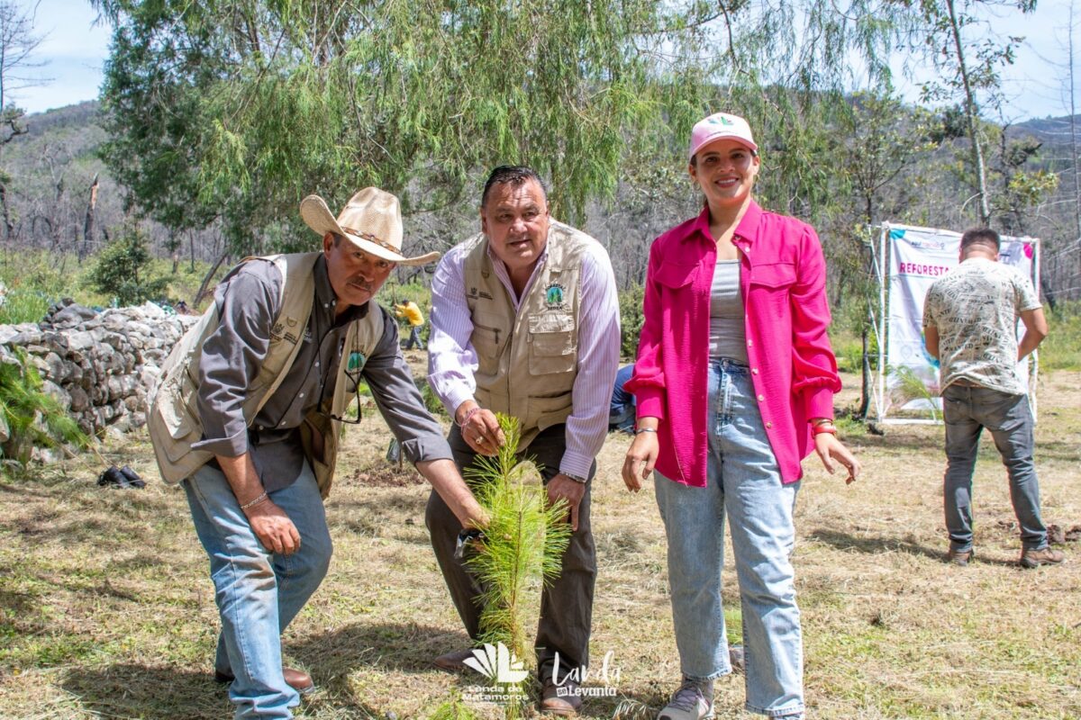 Yuni Benítez encabeza jornada de reforestación en el madroño