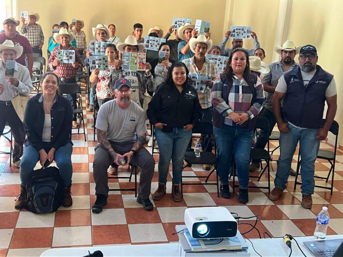 Fortalecen la prevención contra gusano barrenador en coordinación con CPA y SEDEA